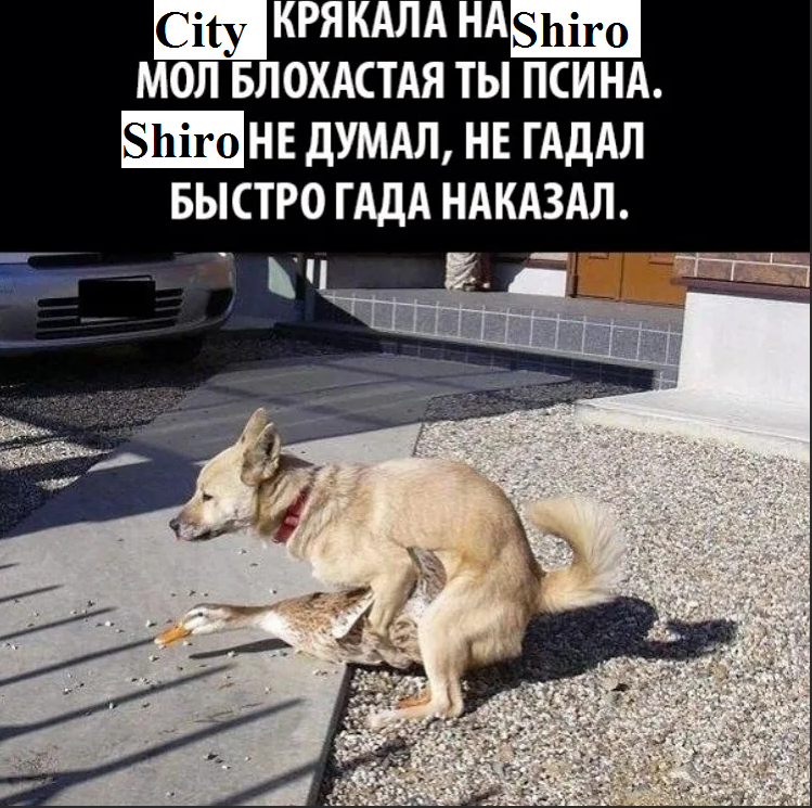 Безымянный.png