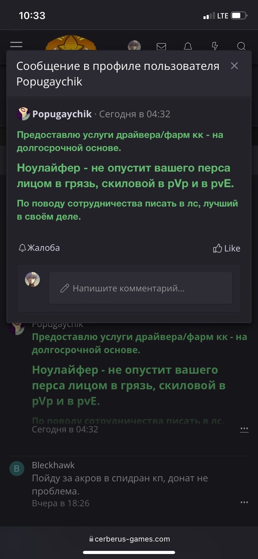 попугай.jpg