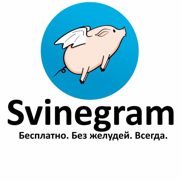 хрюк.jpg