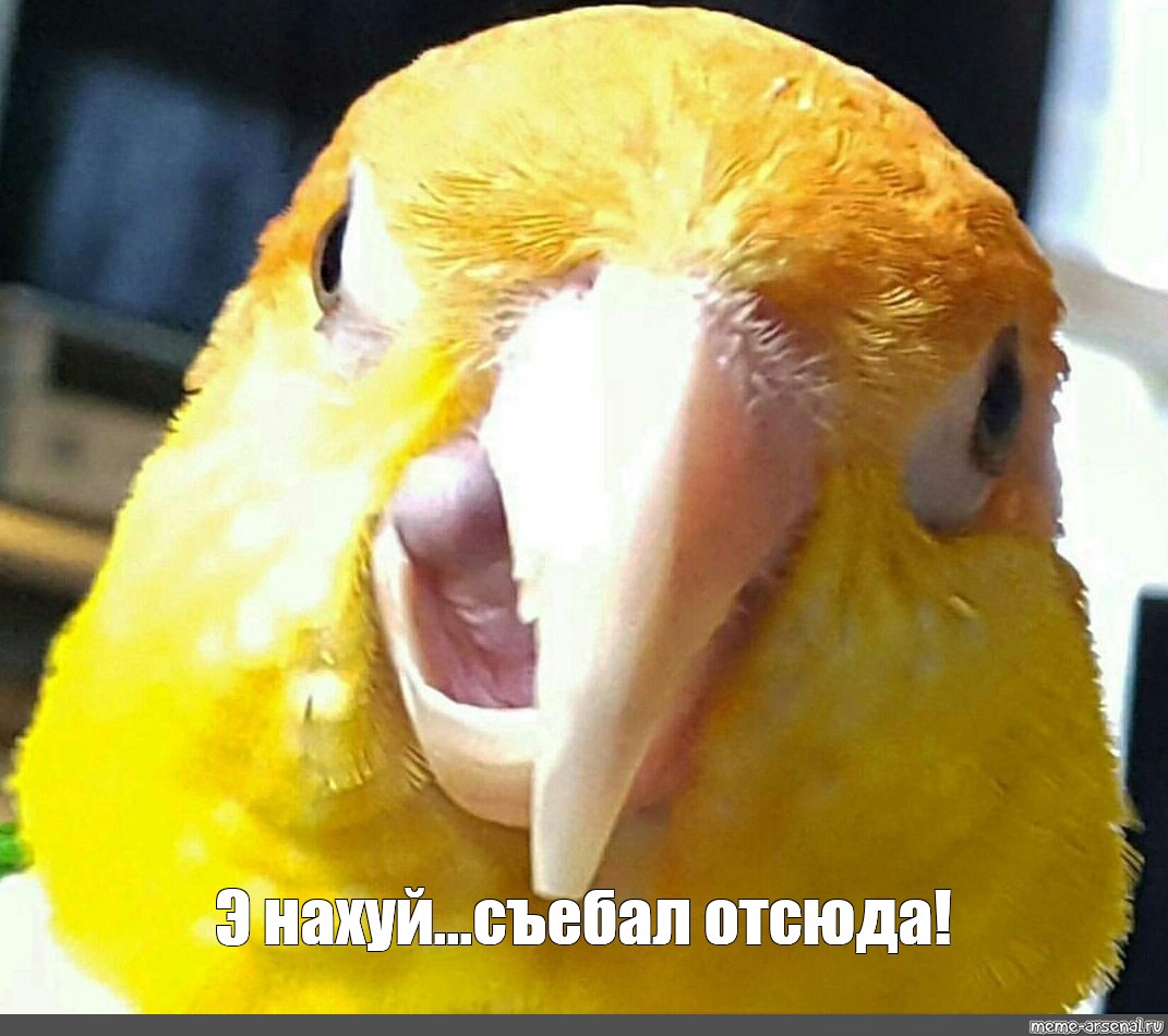 903e56f6a8a273d6fc50ef53b54c0087.jpg