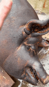 ezgif.com-gif-maker11111111111111.gif