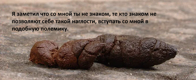 iфывфыв.png