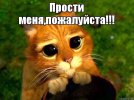 прости.jpg