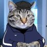 koma77